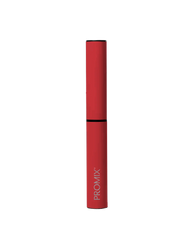 Red Promix Frother