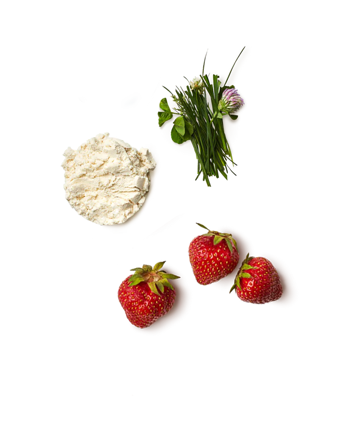 Strawberry Milk Whey Protein Isolate Powder