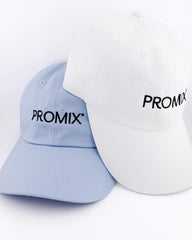 The Dad Hat Blue